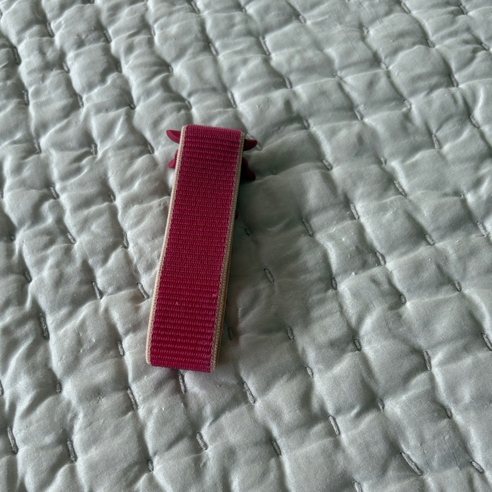 Apple Watch Band in Pink